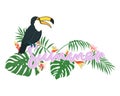 Cute cartoon black toucan on white background, wild tropical bird with exotic leaves and flowers, hand lettering, editable vector Royalty Free Stock Photo